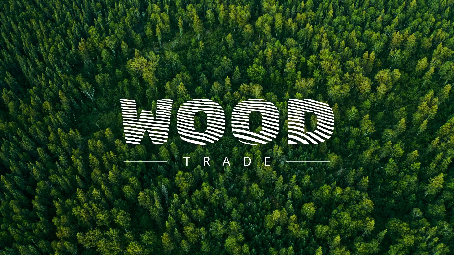 Разработка интернет-магазина компании «Wood Trade» в Бавлах
